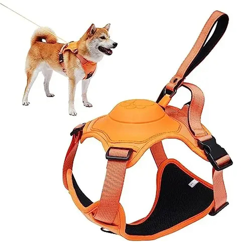 "πΎ Ultimate Dog Walk Combo: Harness & Retractable Leash Set! π Anti-Burst, Flexible, Breathable - Perfect for Daily Walks!"