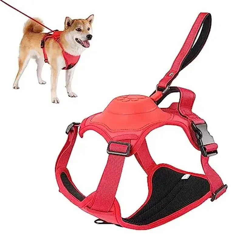 "πΎ Ultimate Dog Walk Combo: Harness & Retractable Leash Set! π Anti-Burst, Flexible, Breathable - Perfect for Daily Walks!"
